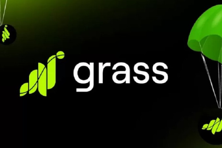 Review Grass Airdrop Season 2 Aman Atau Tidak? Distribusikan Total 1 Miliar $GRASS Token