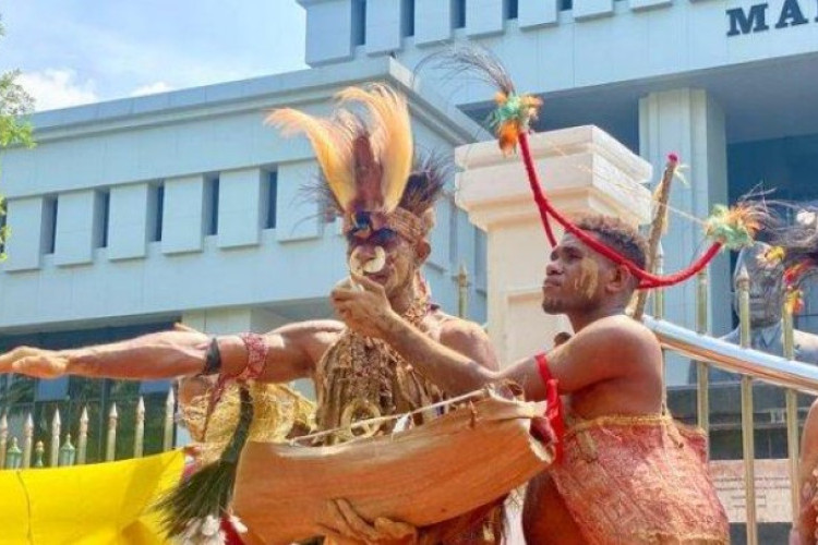 �PT Indo Asiana Lestari Babat 36 Ribu Hektar Lahan Hutan Papua Viral! Aktivis Desak Cabut Izin Usaha