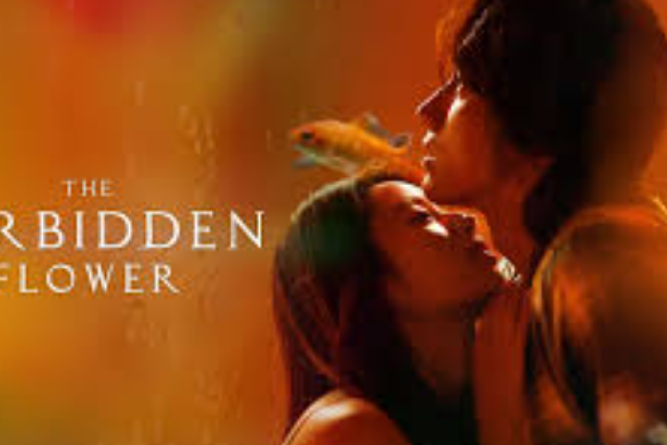 Nonton Drama The Forbidden Flower (2023) Full Episode Sub Indo, Tayang Malam Ini! Xiao Han Sedih Kehilangan He Ran