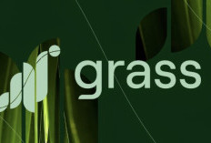 Grass Airdrop Season 3: Pengertian, Keuntungan, dan Cara Dapat Token Gratis