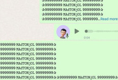 �Download Script Virtex WA Ganas Terbaru 2024, Auto Bikin WhastApp Jebol Notif dan Merusak HP!