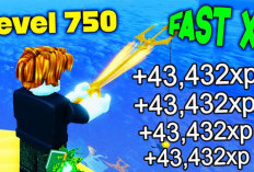 Cara Tercepat Level Up FISCH Roblox Langsung Naik 15 Level Tanpa Cheat Full GRATIS, 5 Menit Beres