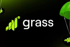 Review Grass Airdrop Season 2 Aman Atau Tidak? Distribusikan Total 1 Miliar $GRASS Token