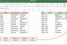 �Fungsi VLookup dan HLookup Digunakan Untuk? Lengkap Beserta Rumus dan Perhitungannya!