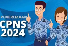 �Download Formasi Seleksi CPNS 2024 Kota Padang Sumatera Barat, Syarat Lulusan SMA, D3, S1 Semua Jurusan