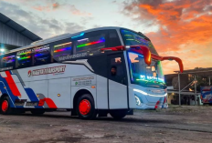 �PO Nagita Transport : Profil Perusahaan, Informasi Kontak, dan Layanan Bus Pariwisata