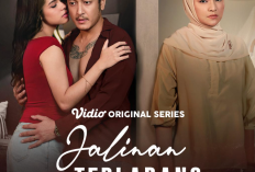 Sinopsis dan Link Nonton Series Jalinan Terlarang (2025) Episode Lengkap GRATIS, Lika-Liku Rumah Tangga Marshanda 