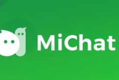 �Daftar Aplikasi Pengganti MiChat Update Terbaru 2024, Sering Disalahgunakan Buat Open BO!