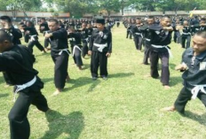 Gerakan Senam Dasar PSHT 1-30 yang Harus Dikuasai, Para Murid Wajib Ketahui Hal Ini!