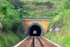Cerita Horor Terowongan Ijo Jalur Lintas Selatan Kerap Menunjukkan Penampakan Keranda Terbang 